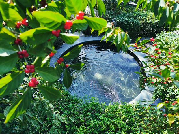 image007.jpg image007.jpg