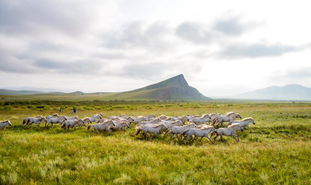 微信图片_20210915100627 (2).jpg 微信图片_20210915100627 (2).jpg