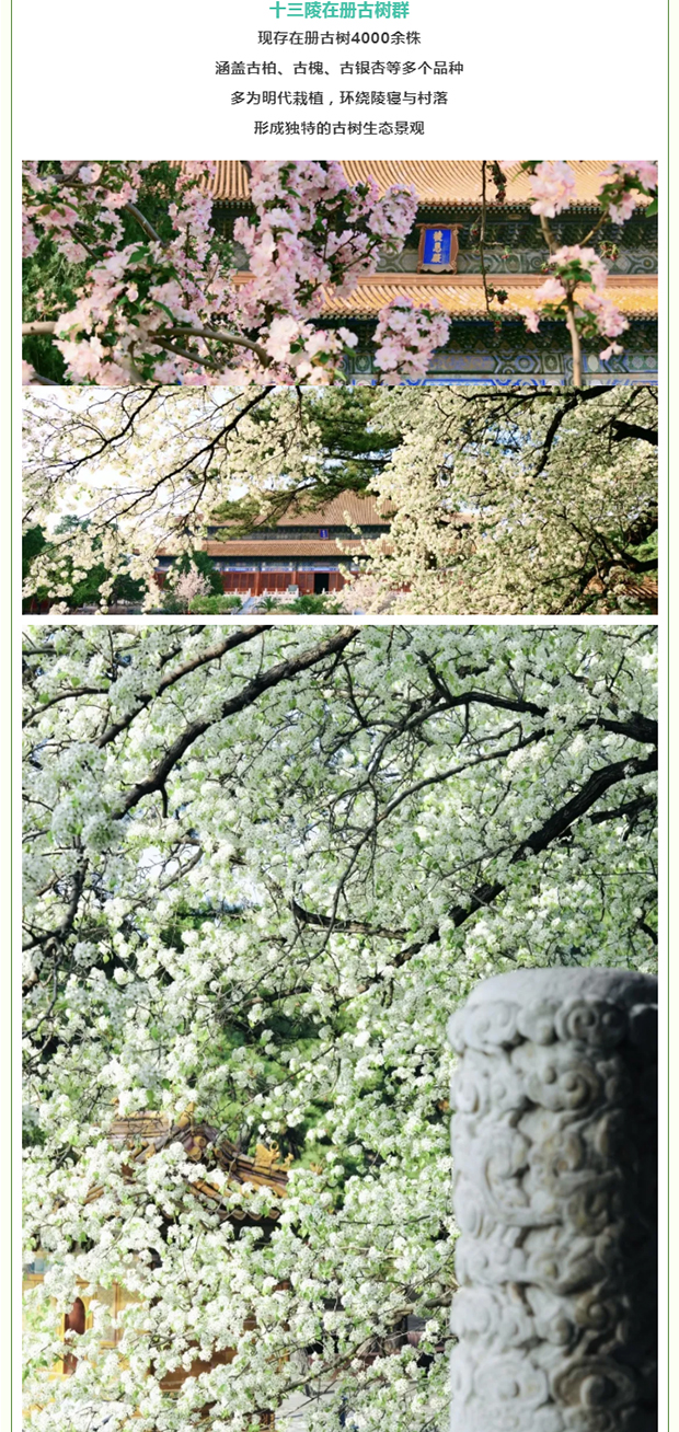 ��ƽ4���������������� �� ����ǧ��ż����ʱ������_0015_ͼ�� 16.jpg